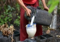 Ngộ độc rượu dừa: 11 người chết, 300 người nhập viện