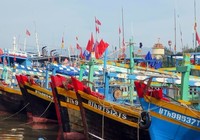 Bình Thuận triển khai ứng phó khẩn cấp bão số 9