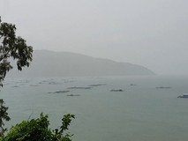 Phú Yên: mưa to, gió mạnh, sóng biển dâng...