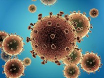 Dịch Corona: Lý do đặt tên virus là COVID...