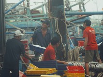 Clip: Cảng cá Quy Nhơn tất bật trước giờ...