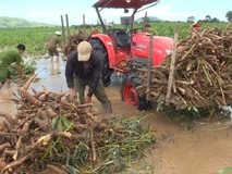 Công an giúp sơ tán, di dời tài sản...