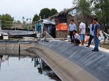Trộm tôm tấn ở Cà Mau: Người nuôi tôm...