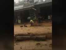 Video: Cứu người bị lũ cuốn trôi ở Nam...