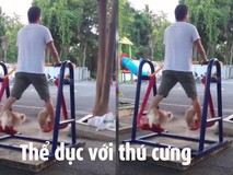 Clip tập thể dục với thú cưng