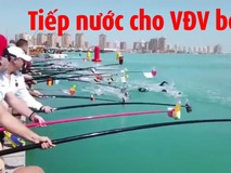 Tiếp nước cho các kình ngư