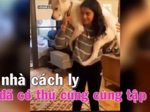 Cách ly ở nhà đã có thú cưng cùng...