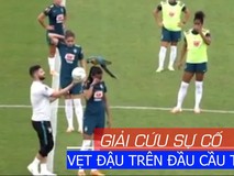Giải cứu chú vẹt đầu trên đầu cầu thủ...