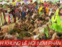 Kinh khủng lễ hội ném phân bò