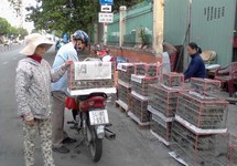 Nên nghiêm cấm việc săn bắt, mua bán chim phóng sinh