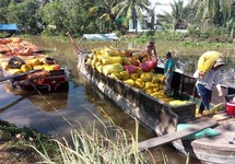 Chính sách lúa gạo không thể cứ ‘ăn đong’