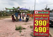 Vừa họp xây cầu, cò đã làm ‘nóng’ đất Nhơn Trạch