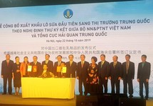 Công bố xuất khẩu lô sữa chính ngạch đầu tiên sang Trung Quốc