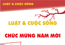 Chương trình Luật & Cuộc Sống số Tân niên