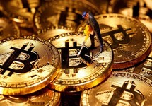 'Vàng của thế kỷ 21' phá vỡ kỷ lục, tăng gần 300%
