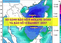 So sánh bão số 9 - Molave và bão số 12 -Damrey năm 2017