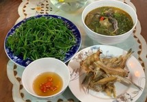 Mùa nước lụt bắt cá ngạnh ở miền Trung quê tôi