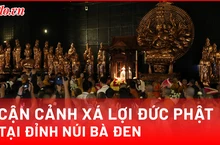 Video: Trang nghiêm lễ rước xá lợi Đức Phật tại Tây Ninh