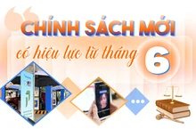 Infographic: Loạt chính sách mới có hiệu lực từ tháng 6-2026