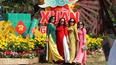 TP Cần Thơ làm đường hoa nghệ thuật xuân Ất Tỵ 2025 hơn 5,8 tỉ đồng