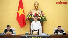 Quốc hội có thể họp sớm để sửa Hiến pháp, kịp tiến độ sáp nhập tỉnh