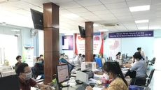 TP.HCM sẽ giới thiệu việc làm cho cán bộ thuộc diện tinh giản