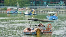 Quận 11 đề xuất lập 4 phường mới tên Bình Thới, Phú Thọ, Hòa Bình, Minh Phụng