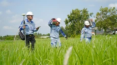 Tây Ninh đẩy nhanh tiến độ giải phóng mặt bằng cao tốc TP.HCM - Mộc Bài