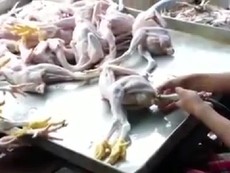 Công nghệ biến gà gầy thành gà béo chỉ sau 10 giây