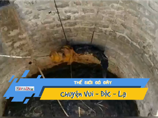 Video: Giải cứu cá sấu mắc kẹt dưới giếng sâu 9m