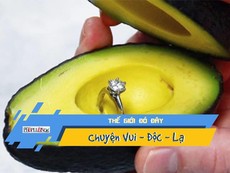 Video: Trào lưu cầu hôn bằng quả bơ gây sốt cộng đồng mạng