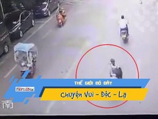 Video: Suýt chết vì ngỗng rơi trúng đầu khi đi trên đường