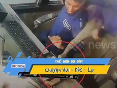 Khỉ đột nhập vào trạm thu phí... trộm 1,6 triệu đồng