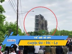 Video: Bạn đã bao giờ thấy công 'bạch tạng' xòe đuôi?