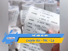 Giấy vệ sinh giúp học tiếng Anh gây sốt