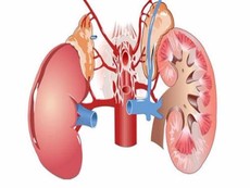 5 dấu hiệu cảnh báo ung thư thận
