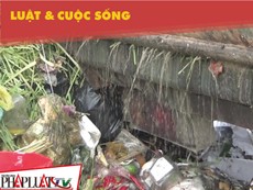 Bô rác ở Thủ Đức bốc mùi nồng nặc, dân chịu không thấu!
