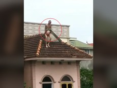 Clip: Cha 'ngáo đá' vứt con 1 tuổi từ tầng 3 xuống đất