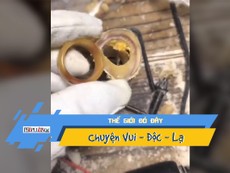 Bạn từng thấy người ta biến xương bò thành trang sức?