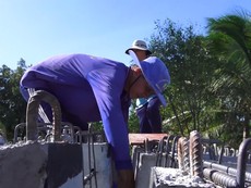 Những lão nông nối nhịp bờ vui