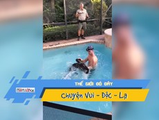 Tay không vật lộn với cá sấu dài gần 3 m