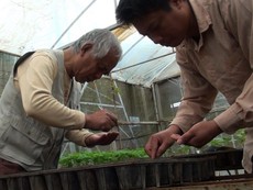 Giúp người Việt hiểu về thực phẩm sạch