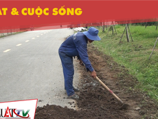 Khi nào Công viên Gò Vấp mới hoàn thành?