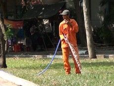 Dùng nước cống tưới cây: Đại diện tổ chăm sóc cây xanh nói gì?