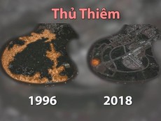 Khu dân cư Thủ Thiêm xưa biến mất như thế nào từ 1996 đến nay
