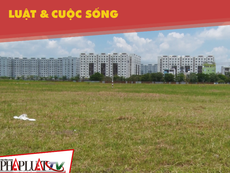 Cư dân phản pháo kết luận ô nhiễm chung cư do cỏ bông lau