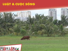 Dân Thanh Đa muốn sớm thực hiện dự án khu đô thị mới