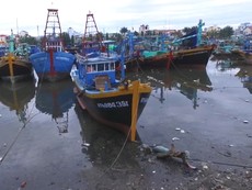 Tàu thuyền đậu kín sông Cà Ty để tránh bão số 9