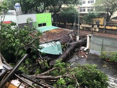 Mưa bão hoành hành ở Vũng Tàu