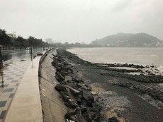 Mưa gió ở khắp nơi trước giờ bão số 9 đổ bộ